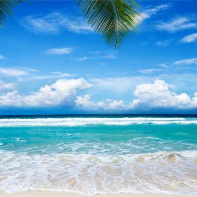 AG官方网站下载